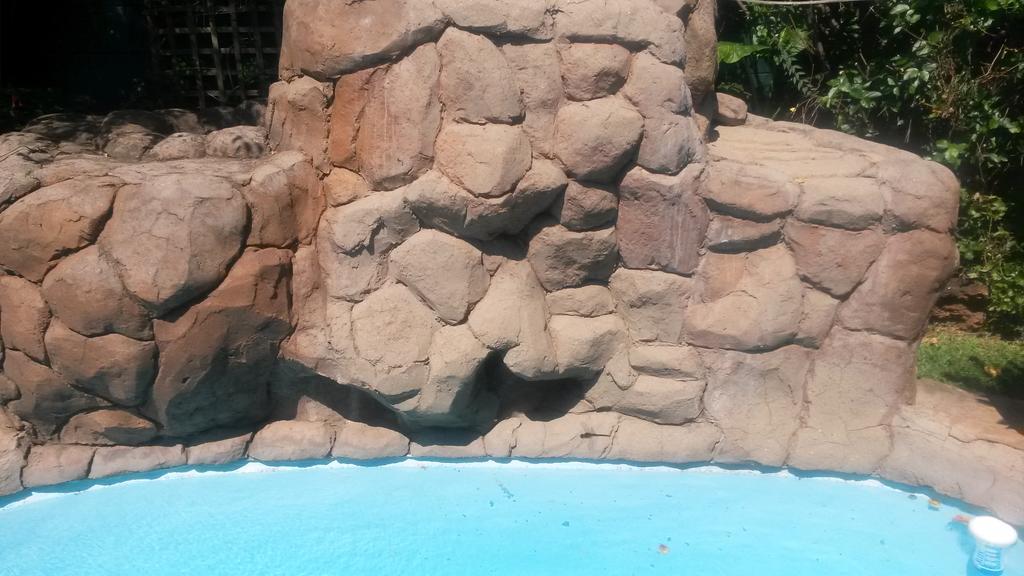 The Birches Backpacker Lodge Randburg エクステリア 写真