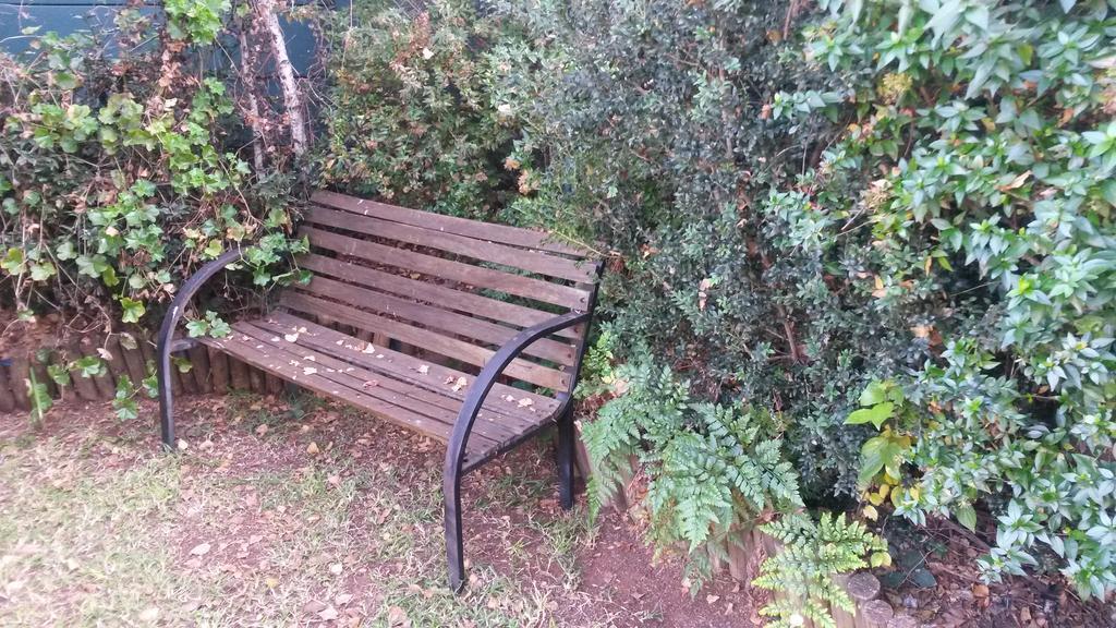 The Birches Backpacker Lodge Randburg エクステリア 写真