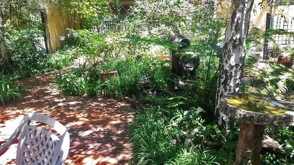 The Birches Backpacker Lodge Randburg エクステリア 写真